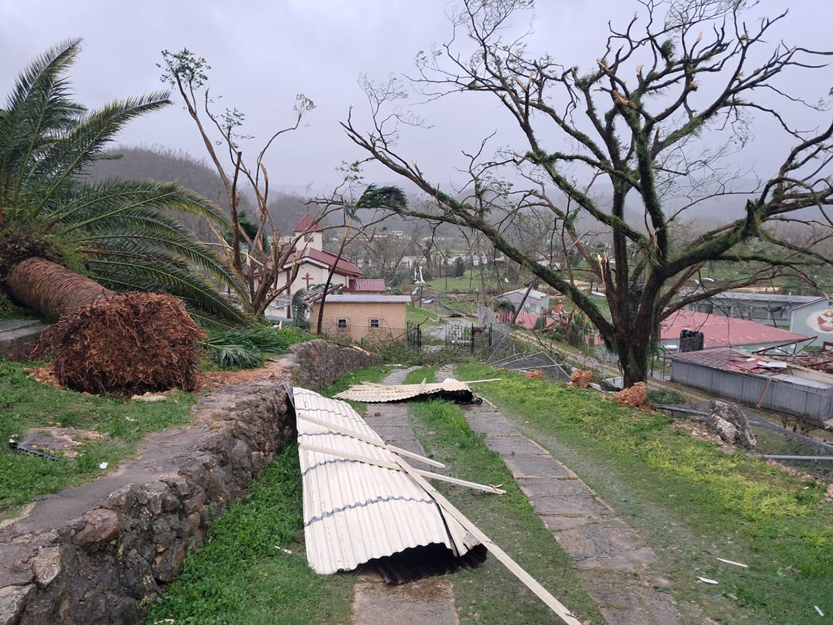 PHOTO-2026-01-09-23-23-01 (5)